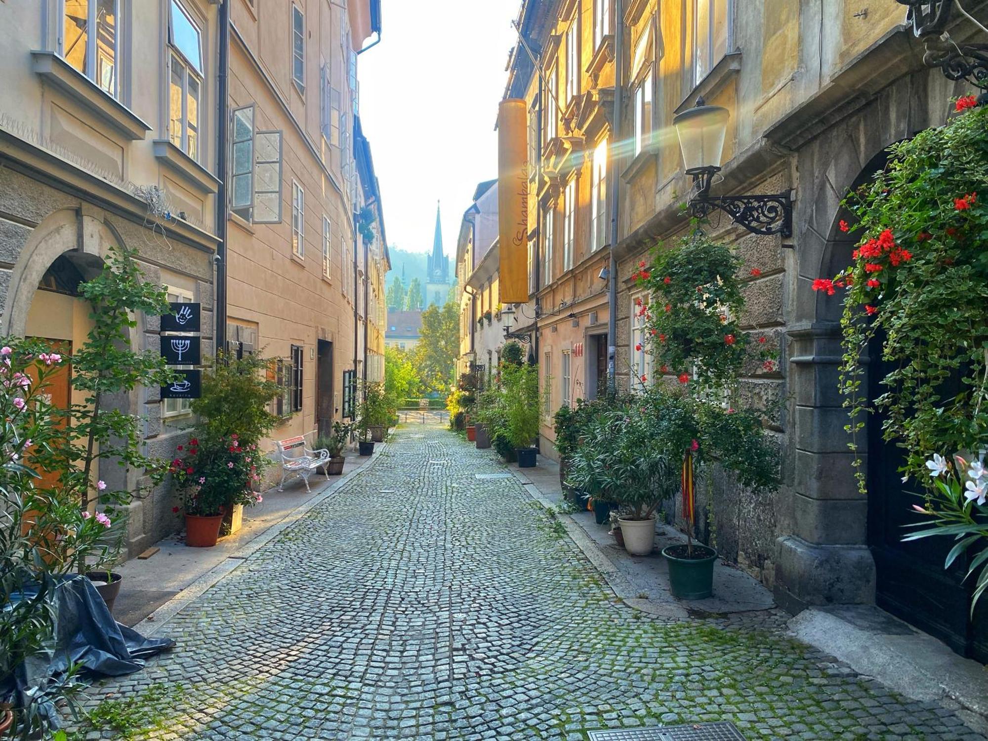 1Br Apartment On The Most Beautiful Street In Ljubljana Center Eksteriør bilde